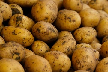 Patate 